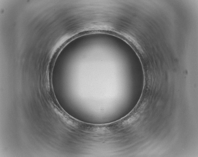 X0000070370982200606161312