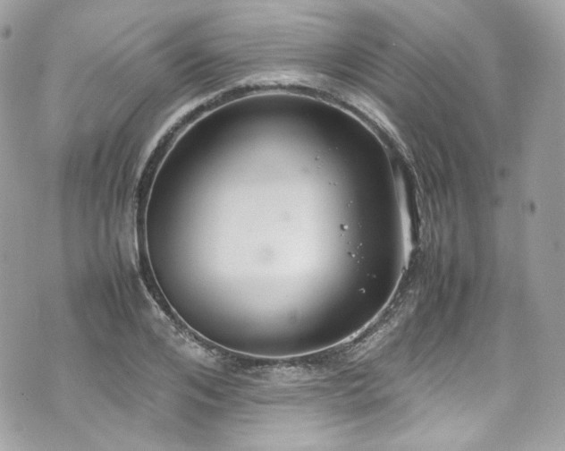 X0000070370984200606161312