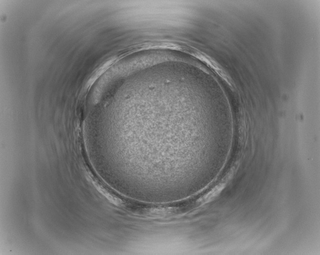 X0000070370985200606161312