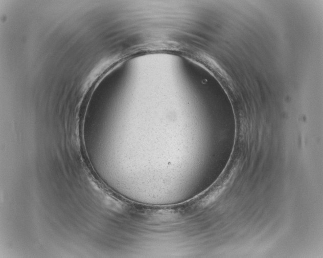 X0000070370986200606161312