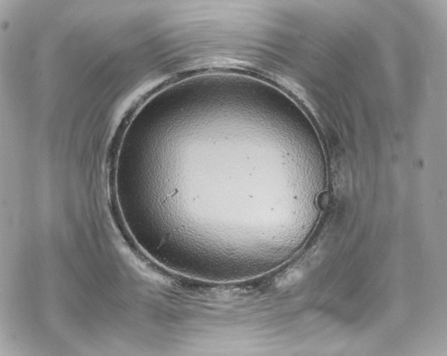 X0000070370987200606161312