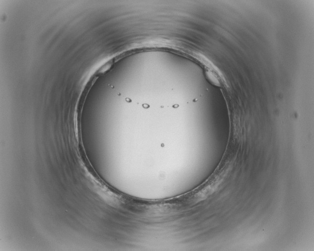 X0000070370988200606161312