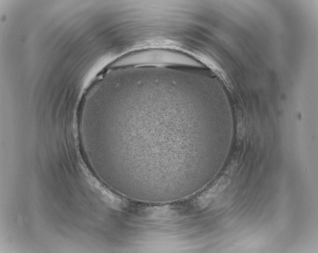 X0000070370990200606161312