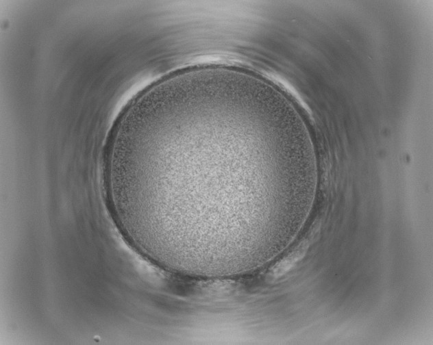 X0000070370991200606161312