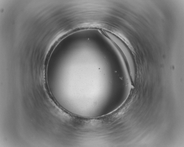 X0000070370992200606161312