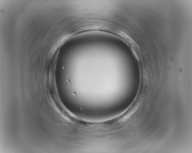 X0000070370993200606161312