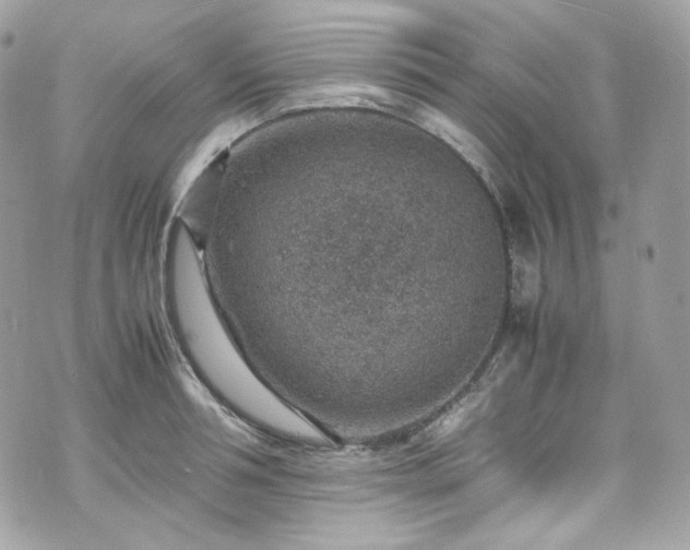 X0000070370994200606161312