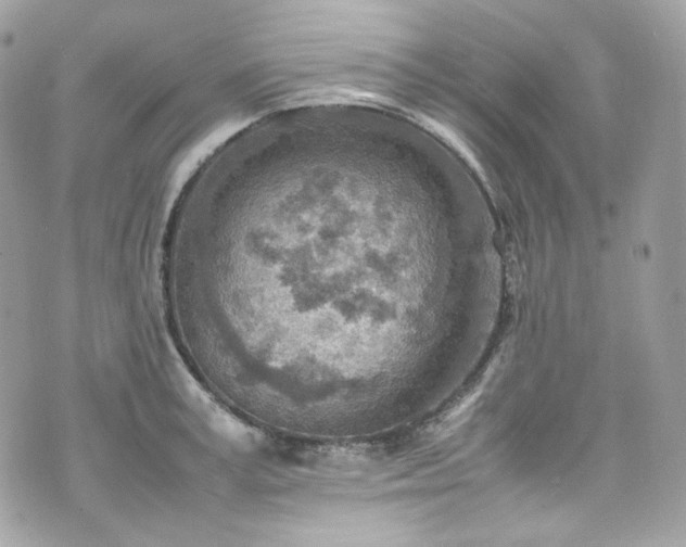 X0000070370995200606161312