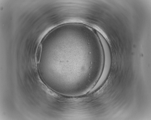 X0000070370996200606161312