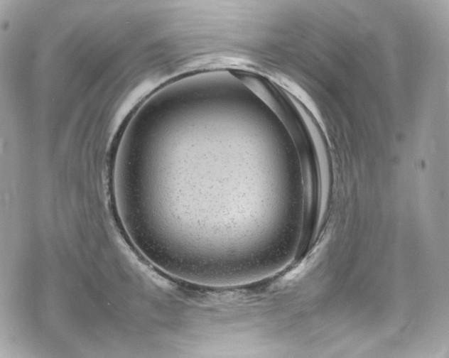 X0000070370997200606161312