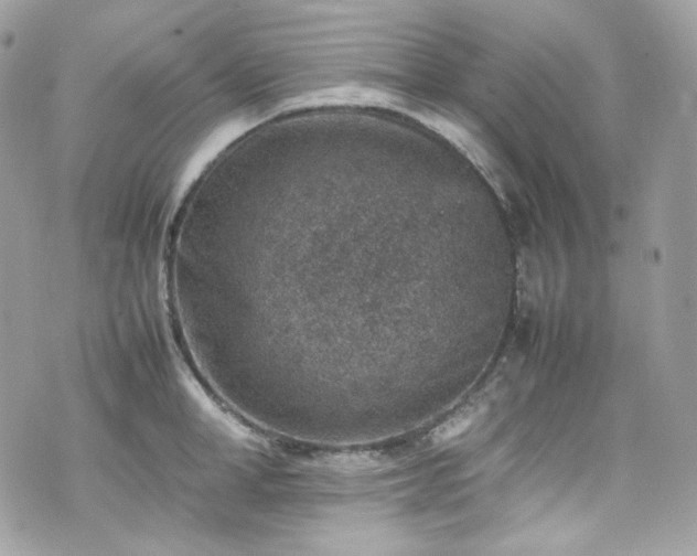 X0000070370998200606161312