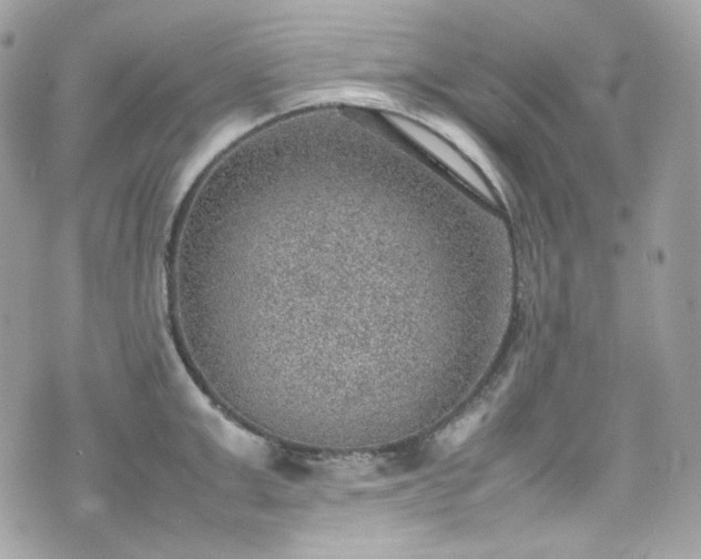 X0000070370999200606161312