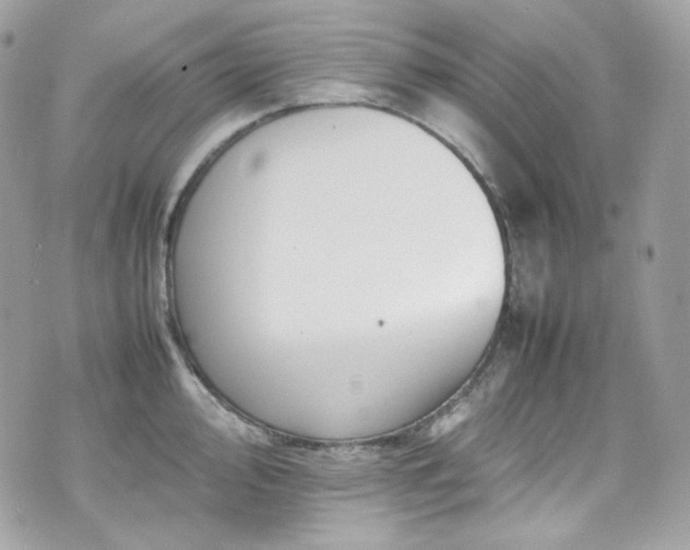 X0000070371000200606161312