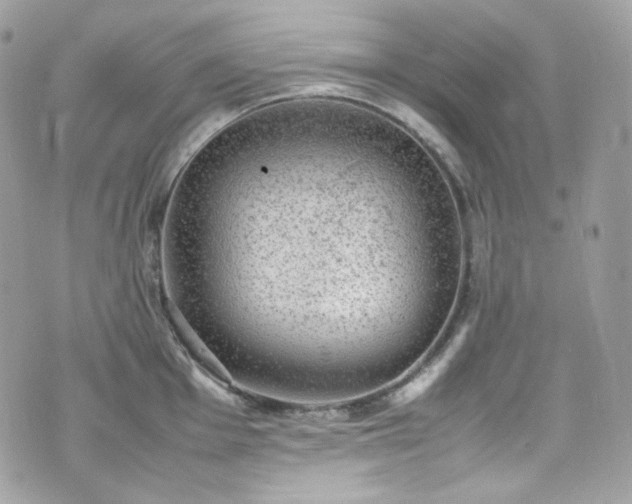 X0000070371001200606161312