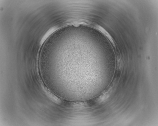 X0000070371002200606161312