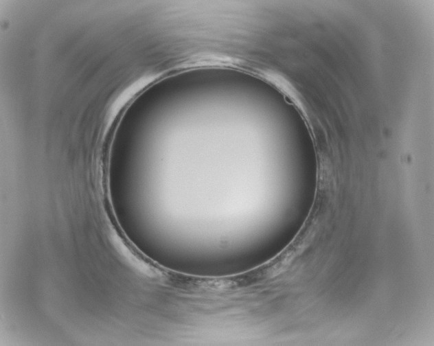 X0000070371003200606161312