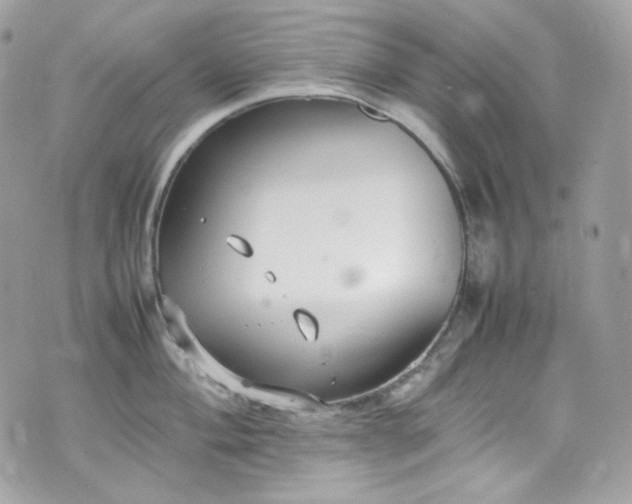 X0000070371004200606161312