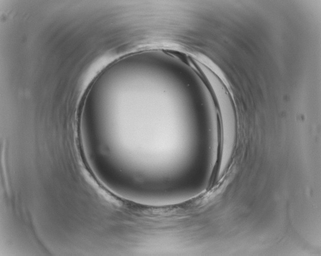 X0000070371005200606161312