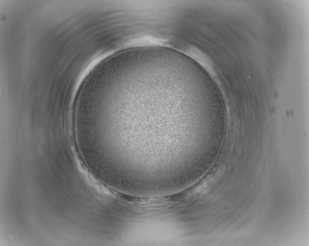 X0000070371008200606161312