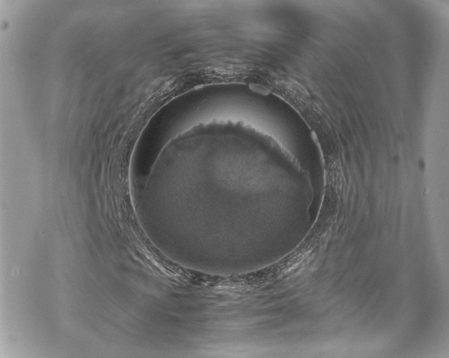 X0000070371009200606161311