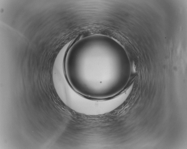 X0000070371010200606161311