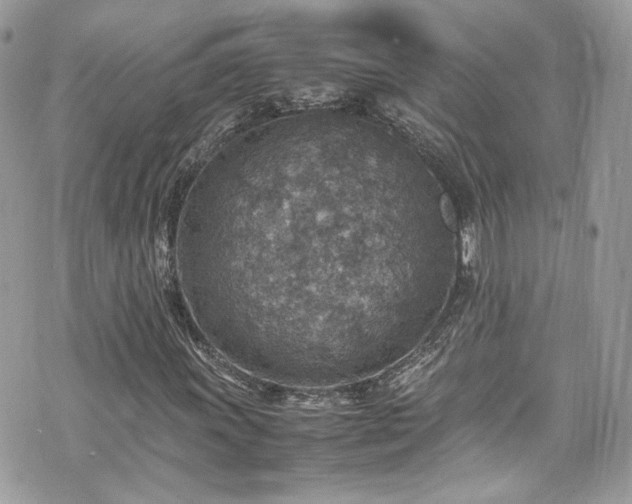 X0000070371011200606161311