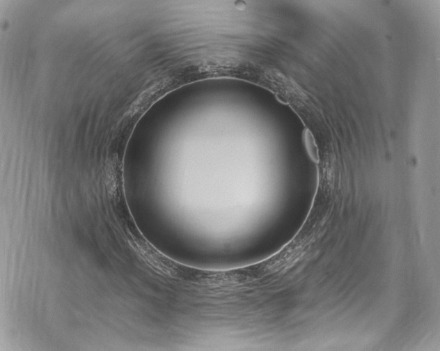 X0000070371012200606161311