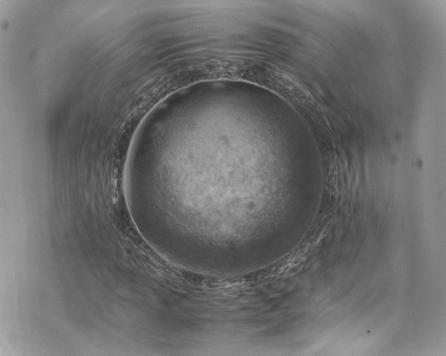 X0000070371013200606161311