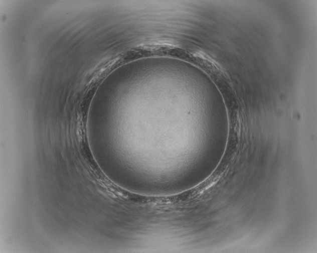 X0000070371014200606161311