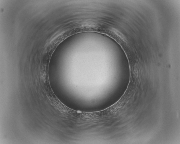 X0000070371015200606161311