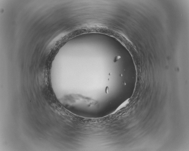 X0000070371016200606161311