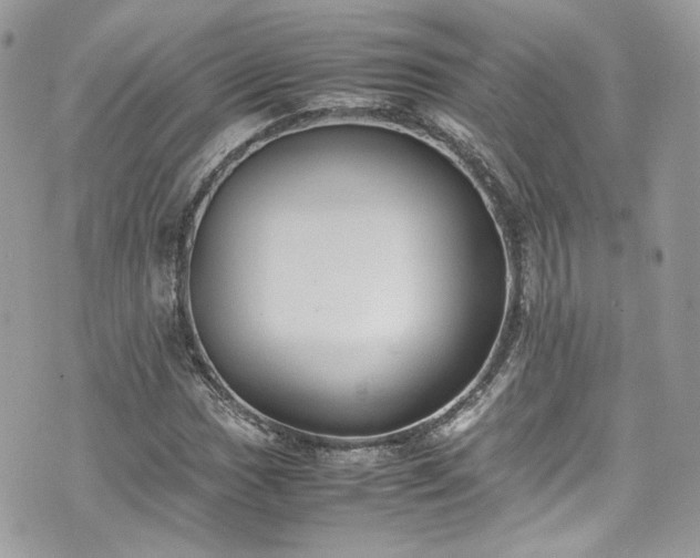 X0000070371017200606161311