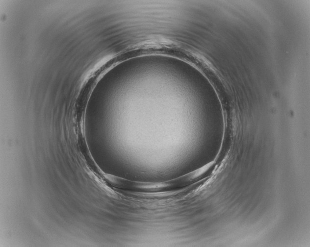 X0000070371018200606161311