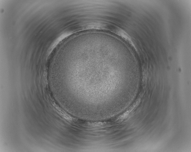 X0000070371019200606161311