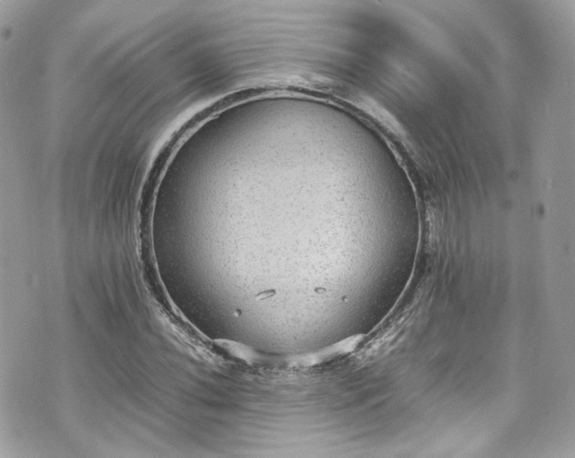 X0000070371020200606161311