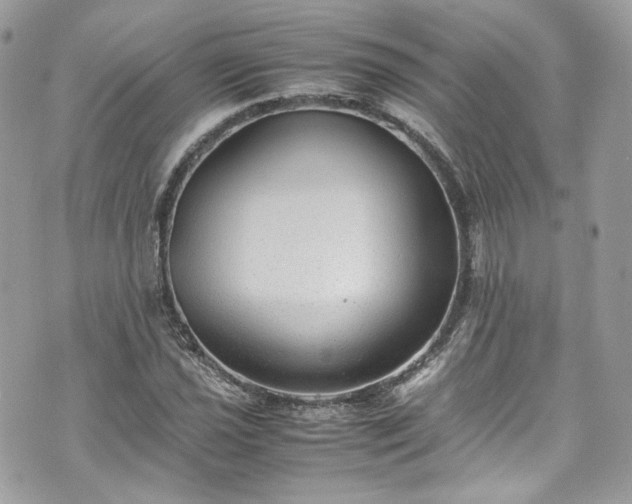 X0000070371021200606161311