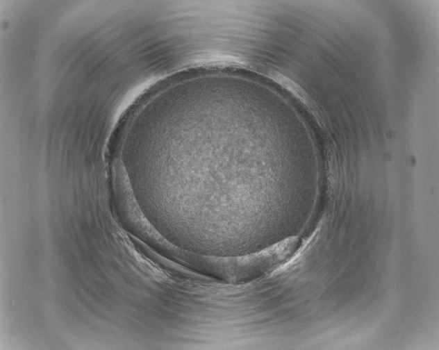 X0000070371022200606161311