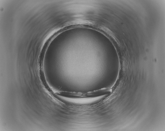 X0000070371024200606161311