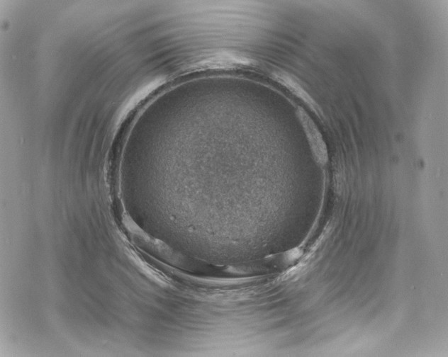 X0000070371026200606161311