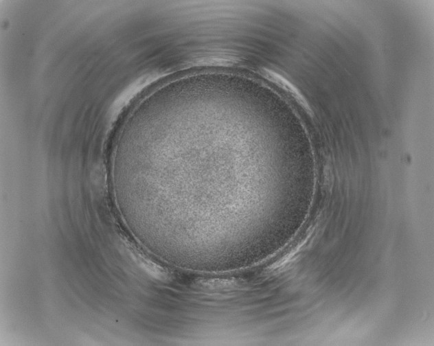 X0000070371027200606161311