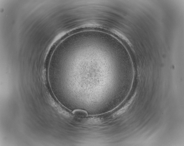 X0000070371029200606161312