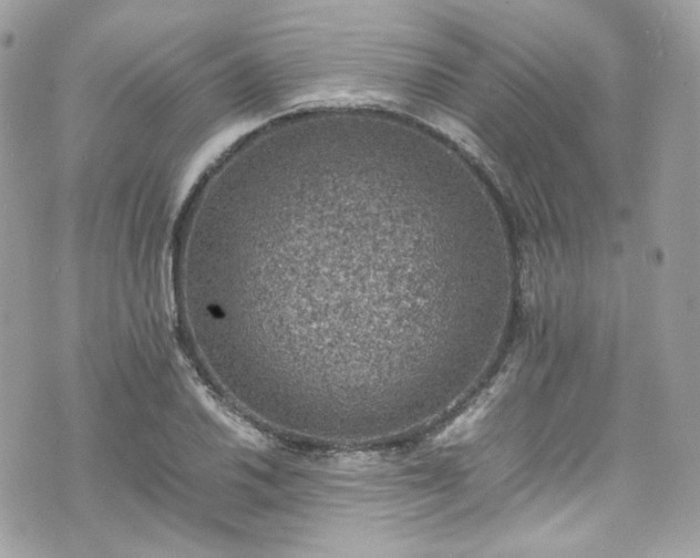 X0000070371030200606161312