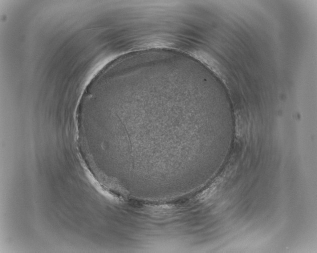 X0000070371031200606161312