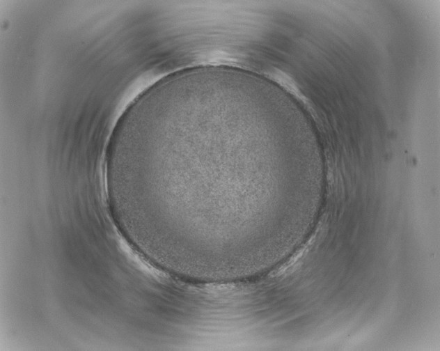 X0000070371032200606161312