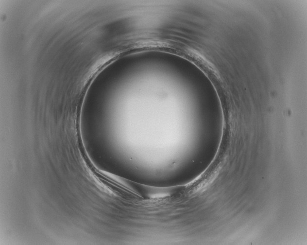 X0000070371033200606161312