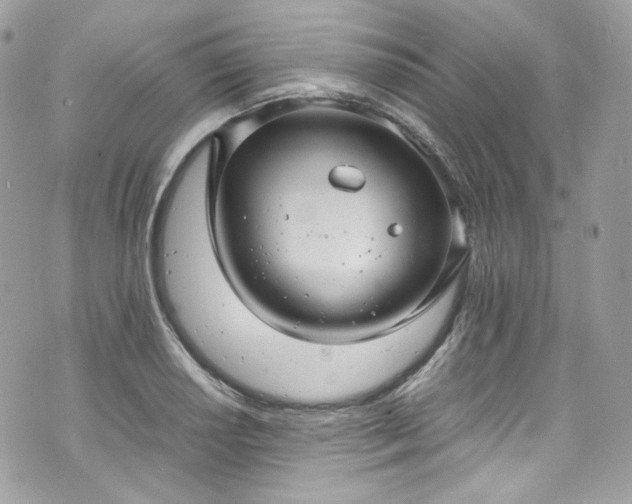 X0000070371034200606161312