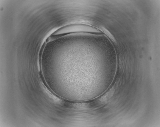 X0000070371036200606161312