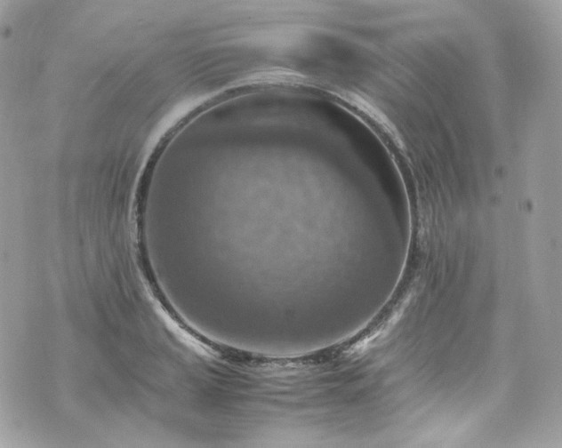 X0000070371037200606161312