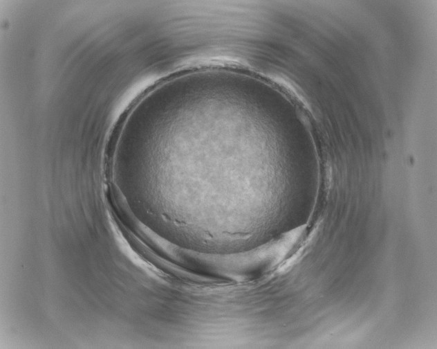 X0000070371038200606161312