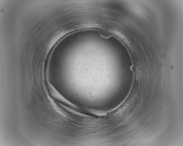 X0000070371039200606161312